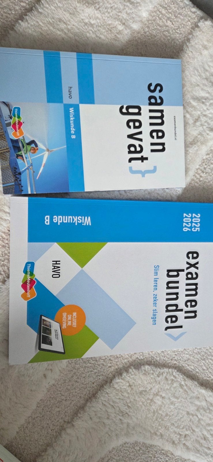 Examenbundel en samengevat wisb havo, Boeken, Ophalen of Verzenden, Zo goed als nieuw, Overige niveaus, Nederlands