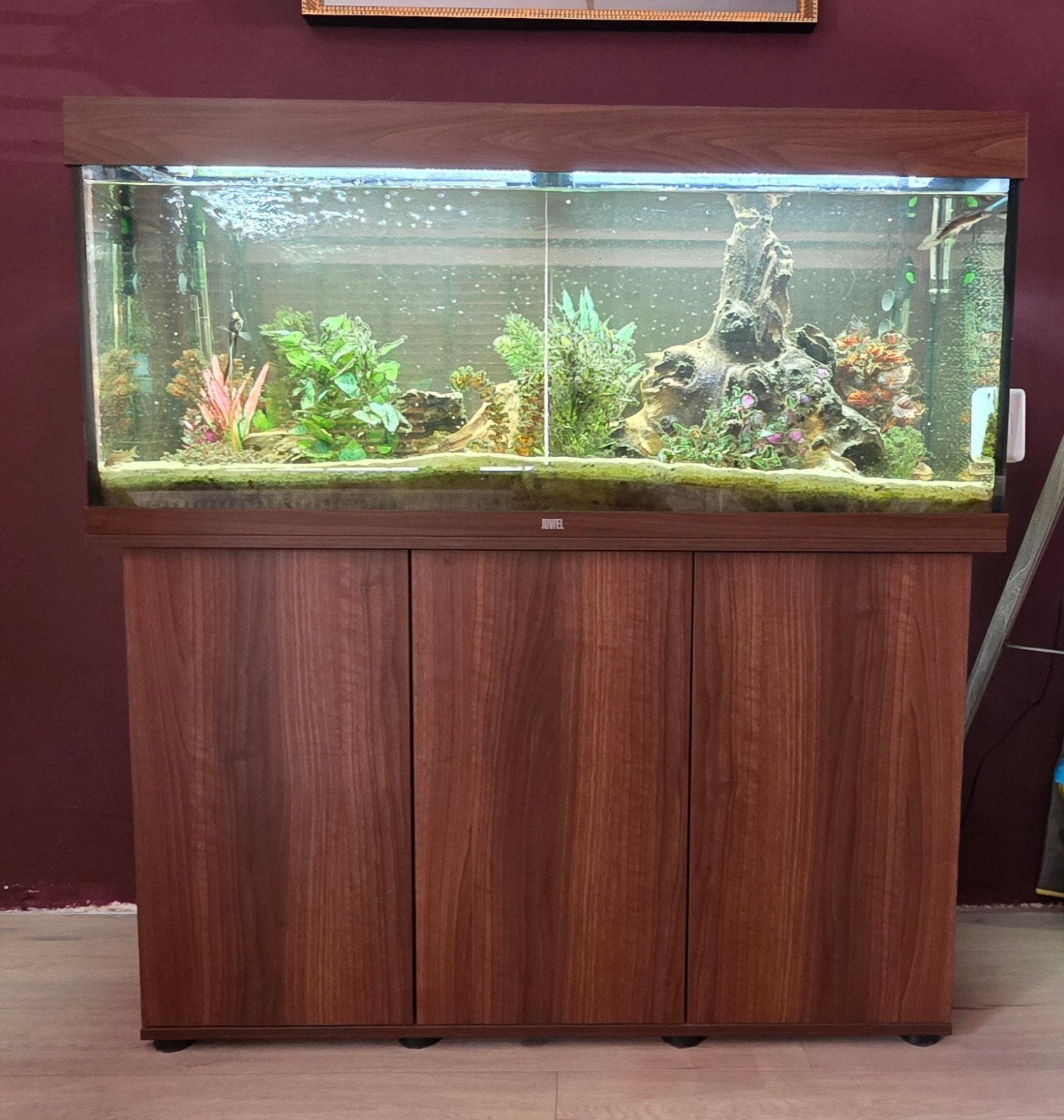 juwel rio 240 inc meubel, Dieren en Toebehoren, Ophalen, Zo goed als nieuw, Gevuld zoetwateraquarium
