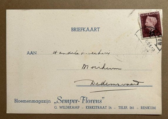 Renkum, Bloemen Semper-Florens G.Wildekamp 1951, Dedemsvaart, Ophalen of Verzenden, 1940 tot 1960, Gelopen, Gelderland