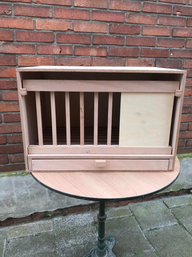 Duiven-postduiven-sierduiven-takla-broedbakken-broedhoken, Mannelijk, Postduif