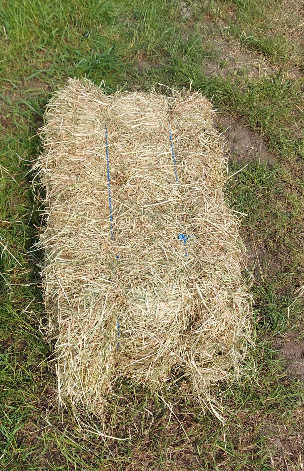 Kleine pakken hooi te koop, Ophalen, Vee