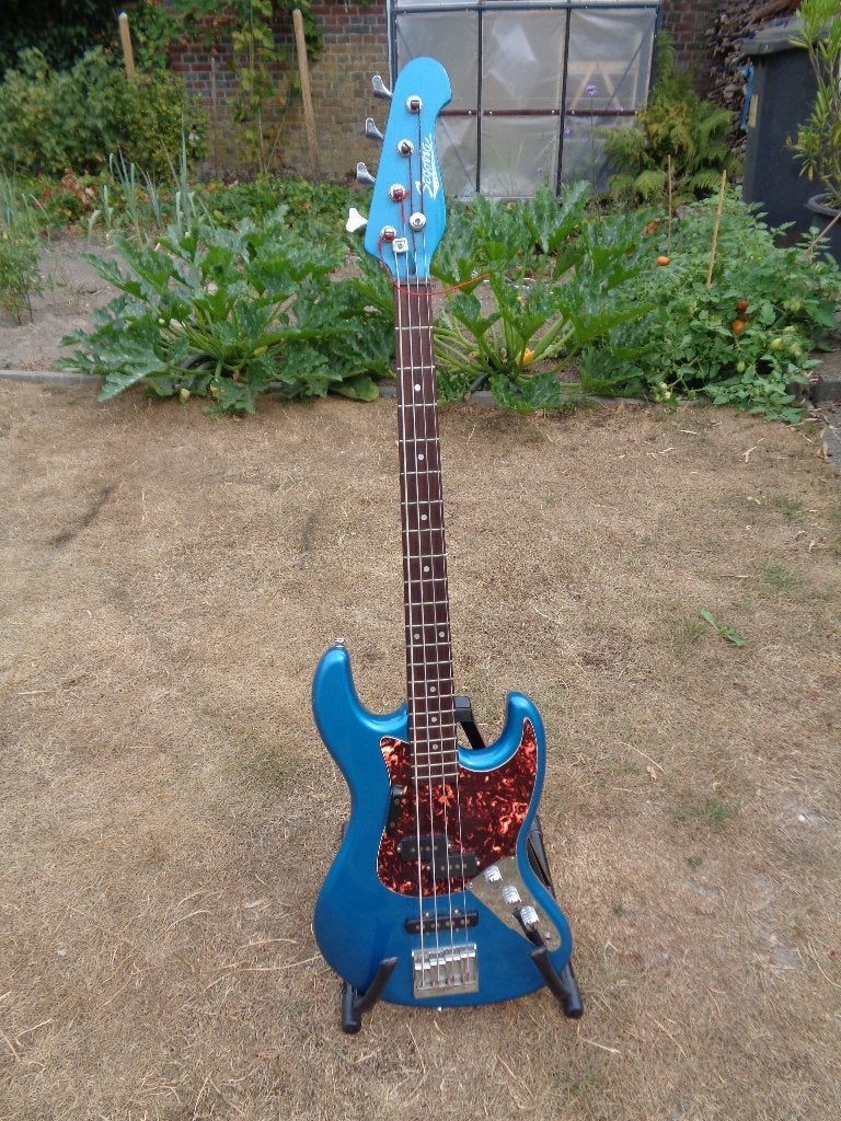 Elektrische Basgitaar, Ophalen, Gebruikt, Elektrisch