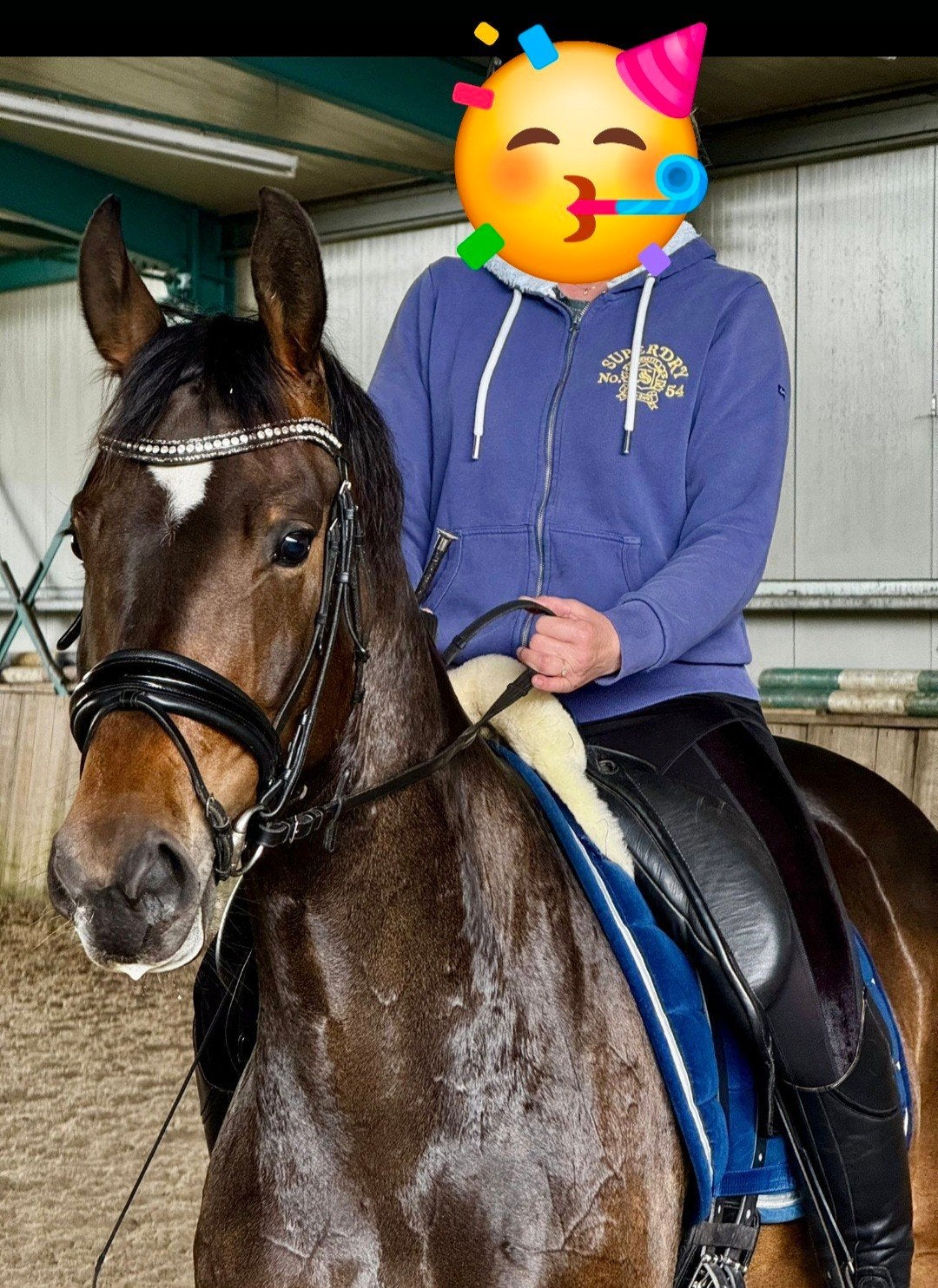 Lieve 5 jarige merrie te koop, Merrie, Met stamboom, Dressuurpaard, 3 tot 6 jaar
