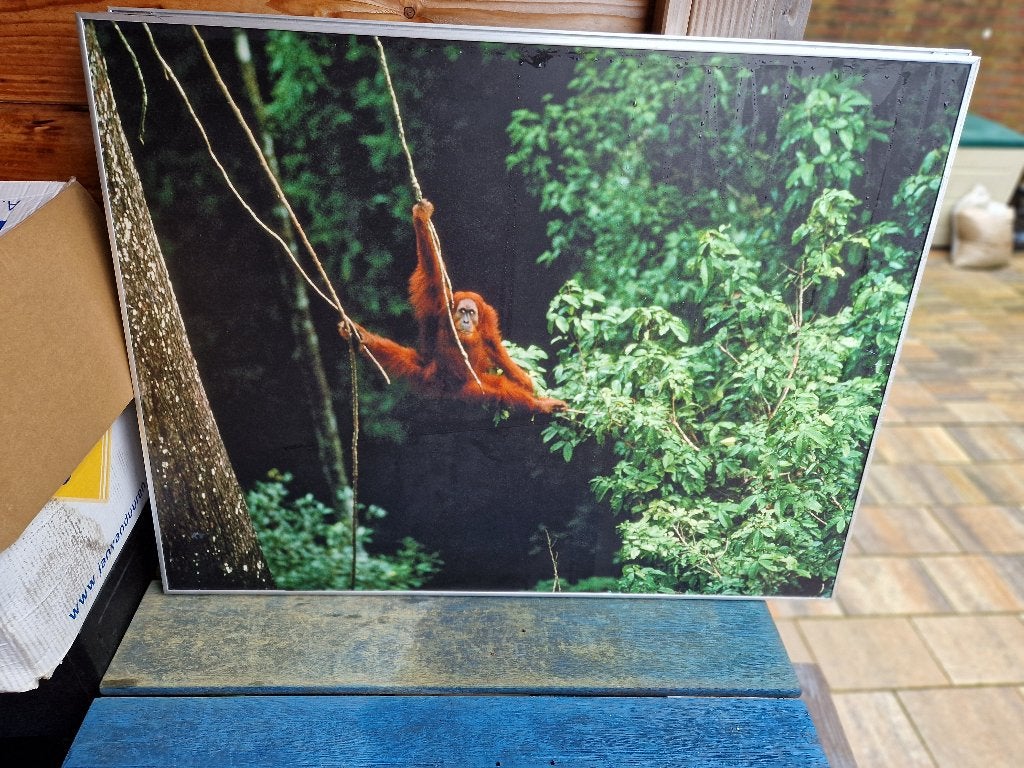 7 lijsten met natuurfoto's (80x60), Ophalen, Gebruikt, Hout