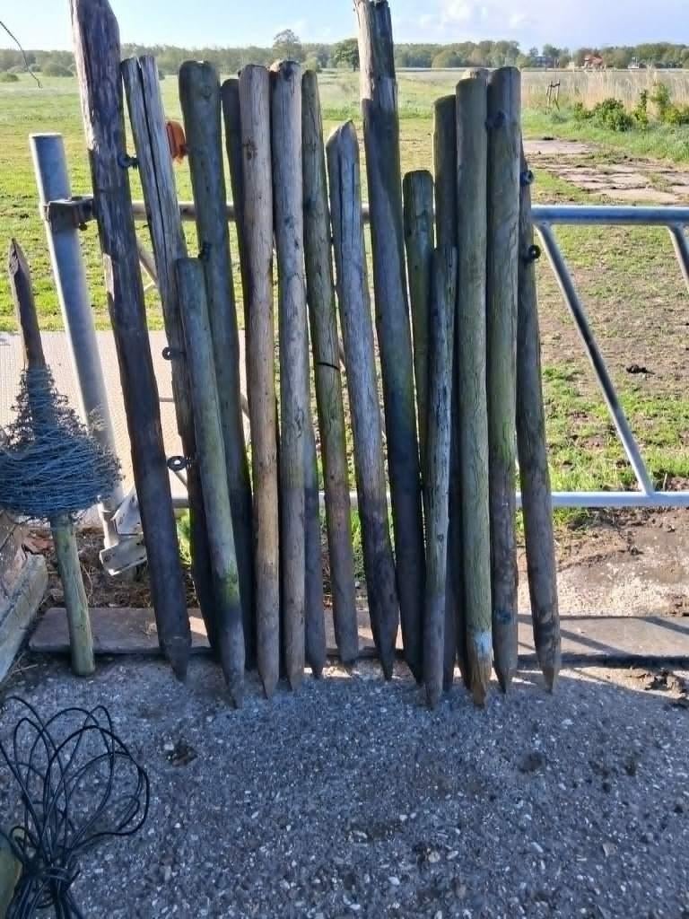 diverse houten paaltjes van 1.60 tot 2 meter, Dieren en Toebehoren, Stalling en Weidegang