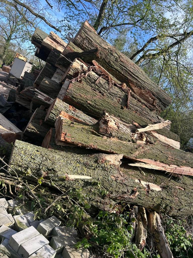 brandhout, stokhout, open haard hout, Minder dan 3 m³, Ophalen of Verzenden