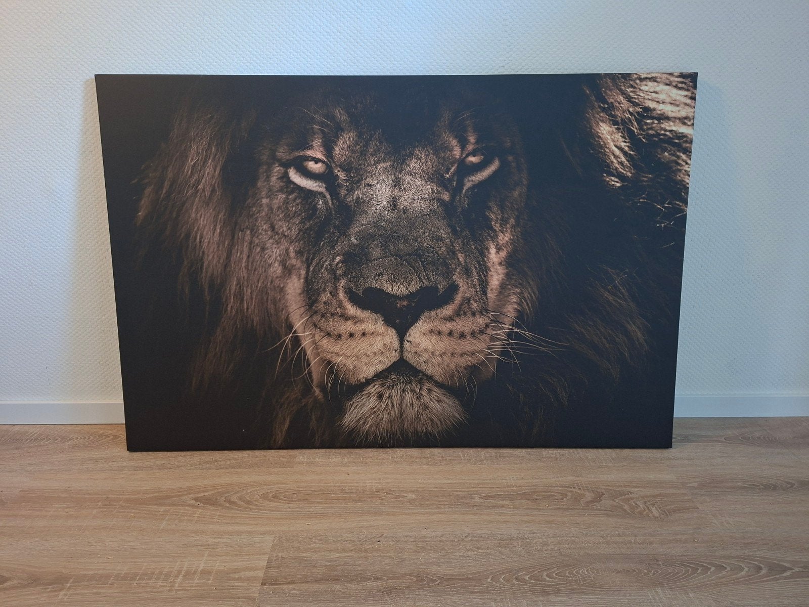 Canvas schilderij leeuw - indrukwekkende wanddecoratie, Huis en Inrichting, Ophalen, 50 – 75, Zo goed als nieuw, Schilderij