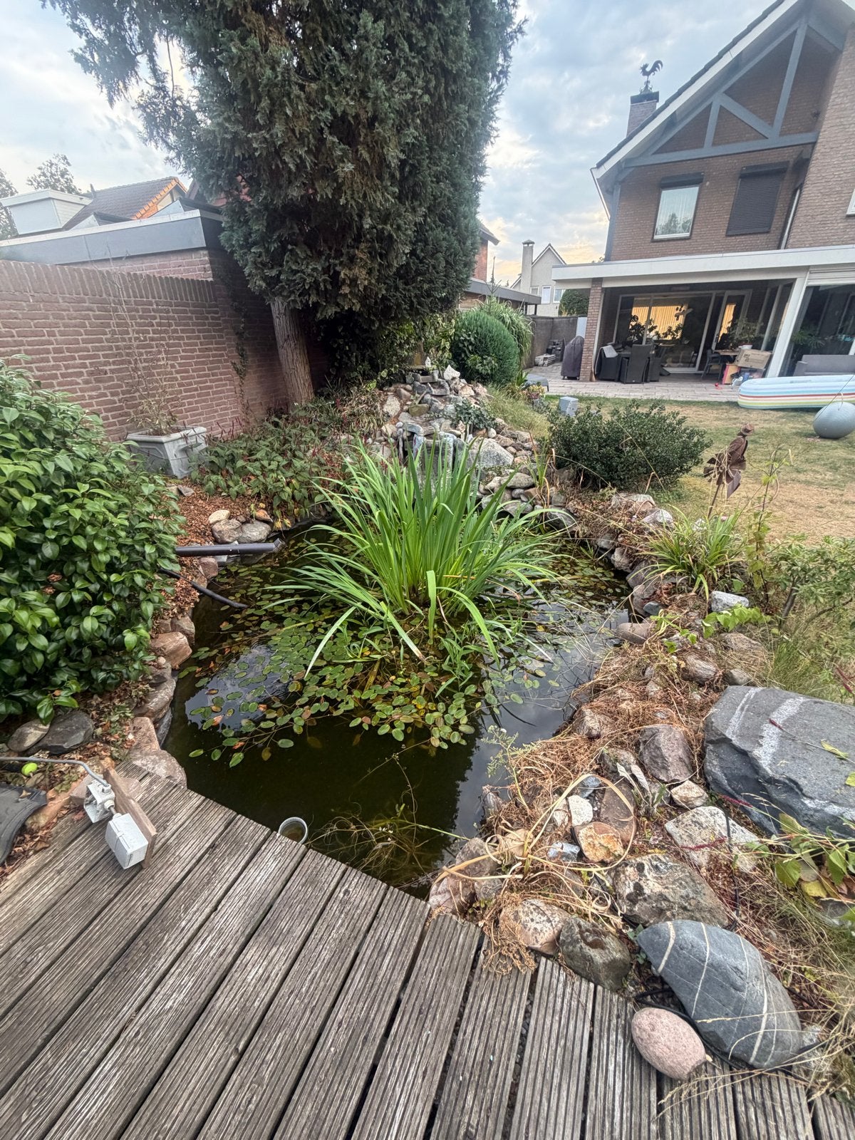 Complete vijver +Oase vijverpomp en filter inclusief karpers, Tuin en Terras, Vijvers, Ophalen, Gebruikt