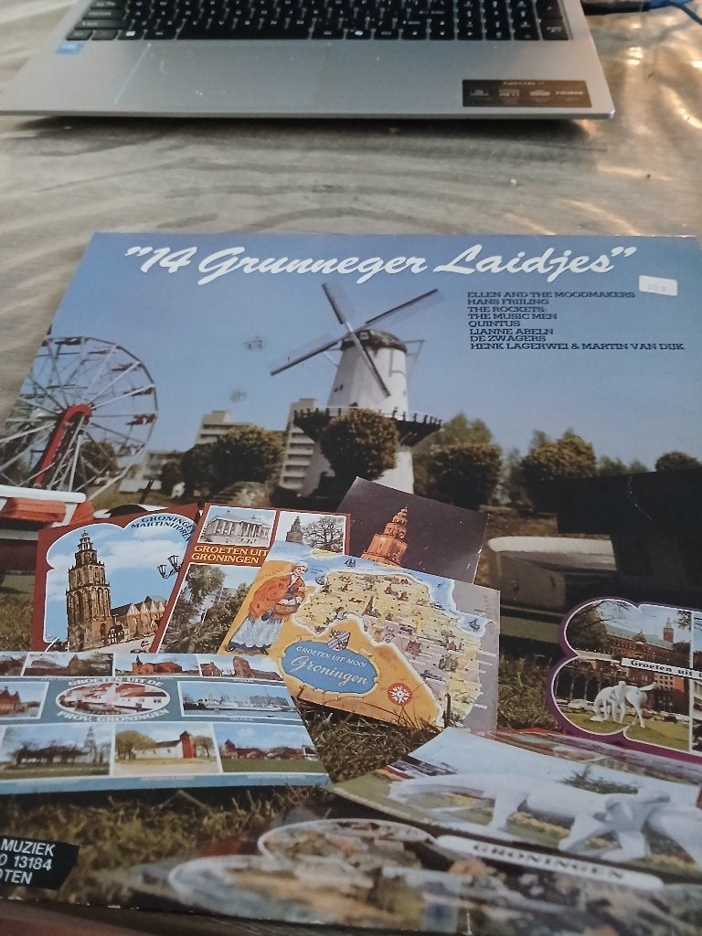 lp 14 grunneger laidjes 10 euro, LP, Overige formaten, Ophalen of Verzenden, Zo goed als nieuw