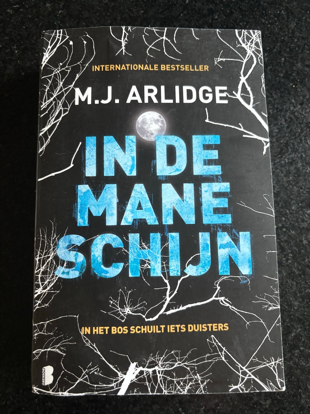 M.J. Arlidge - In de Maneschijn (Thriller), Boeken, Thrillers, Ophalen of Verzenden, Gelezen, Europa overig