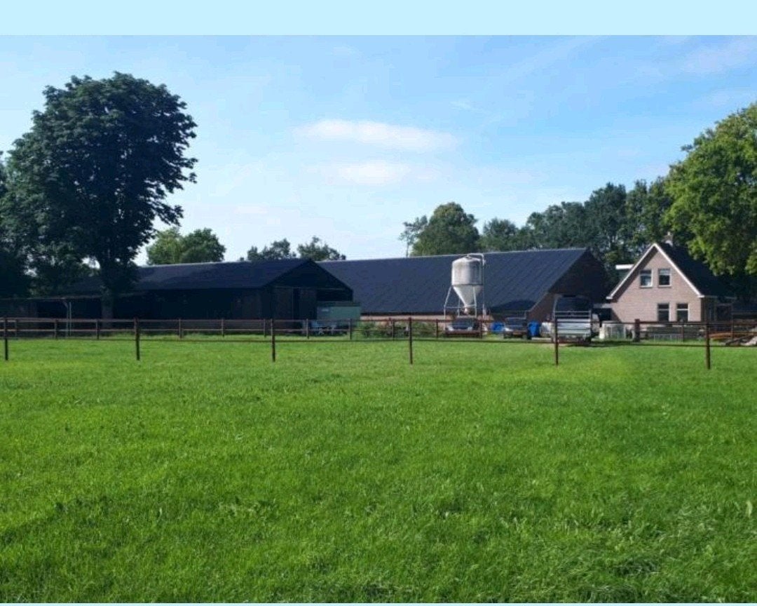 Stalling aangeboden in Een (Drenthe), Weidegang