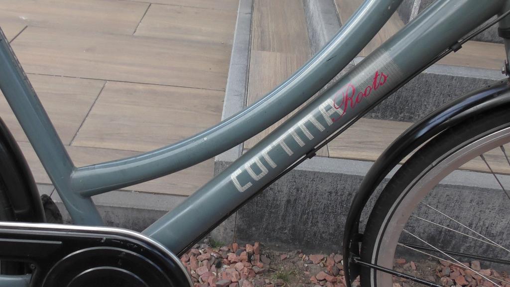 moederfiets damesfiets, 53 tot 56 cm, 0 zitjes, Trommelrem, Ophalen