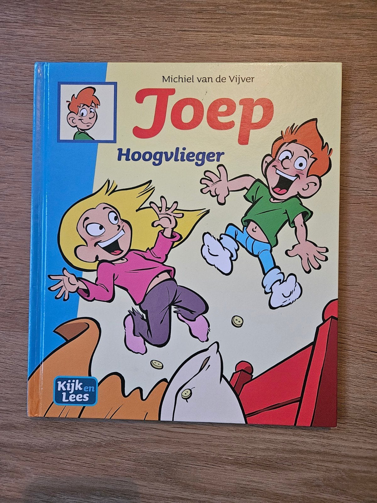 Joep Hoogvlieger - Michiel van de Vijver, Ophalen of Verzenden, Zo goed als nieuw, Fictie algemeen