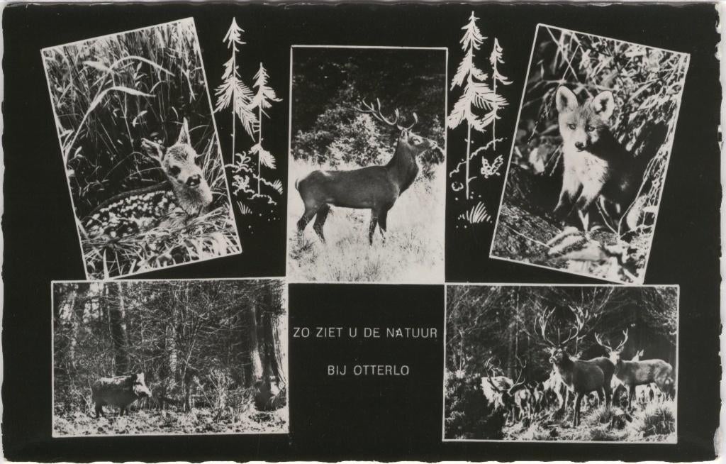 Otterlo de natuur 1964, Verzenden, 1960 tot 1980, Gelopen, Gelderland
