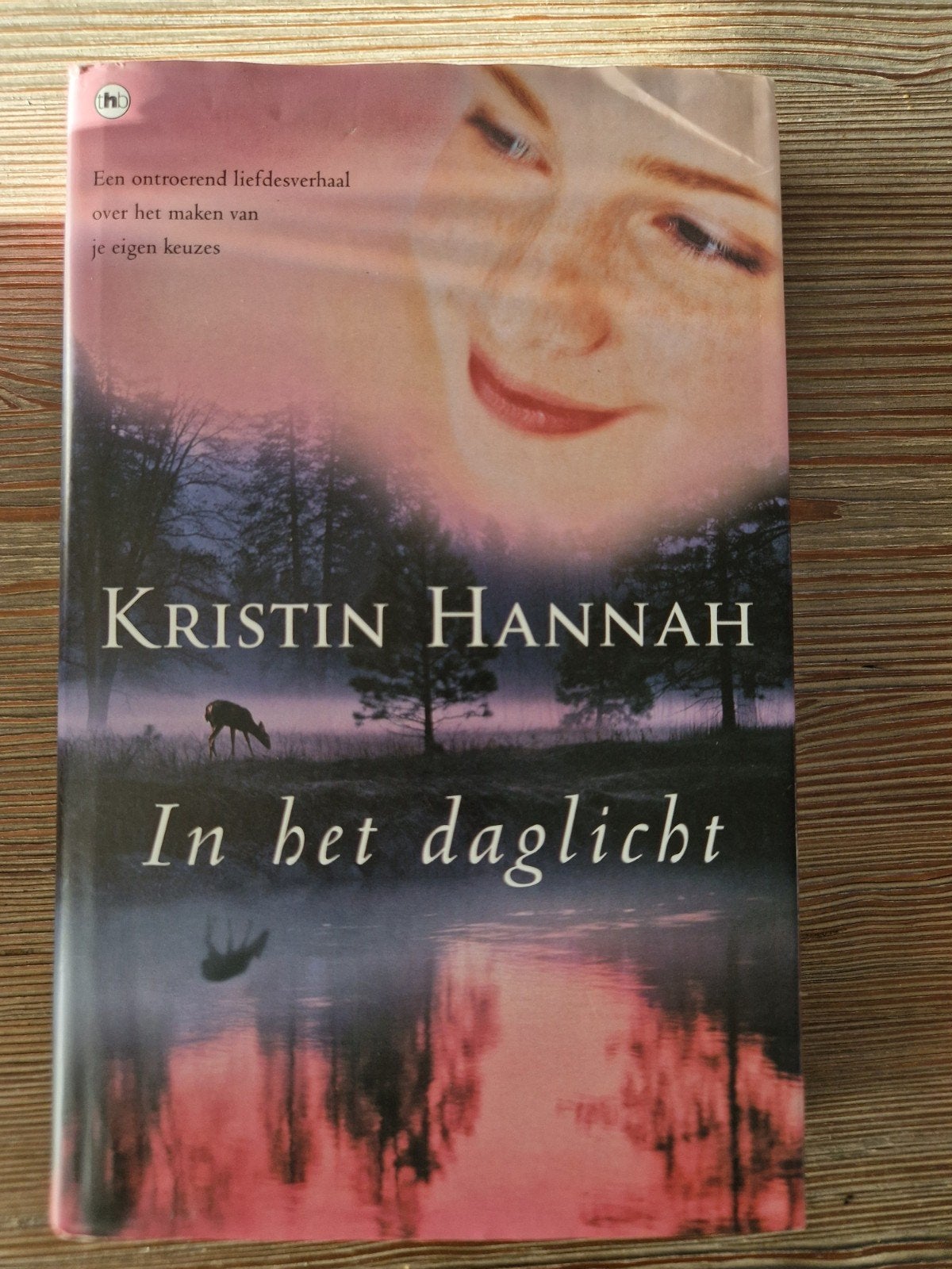 Kristin Hannah - In het daglicht (Roman), Ophalen of Verzenden, Gelezen, Kristin Hannah, Nederland