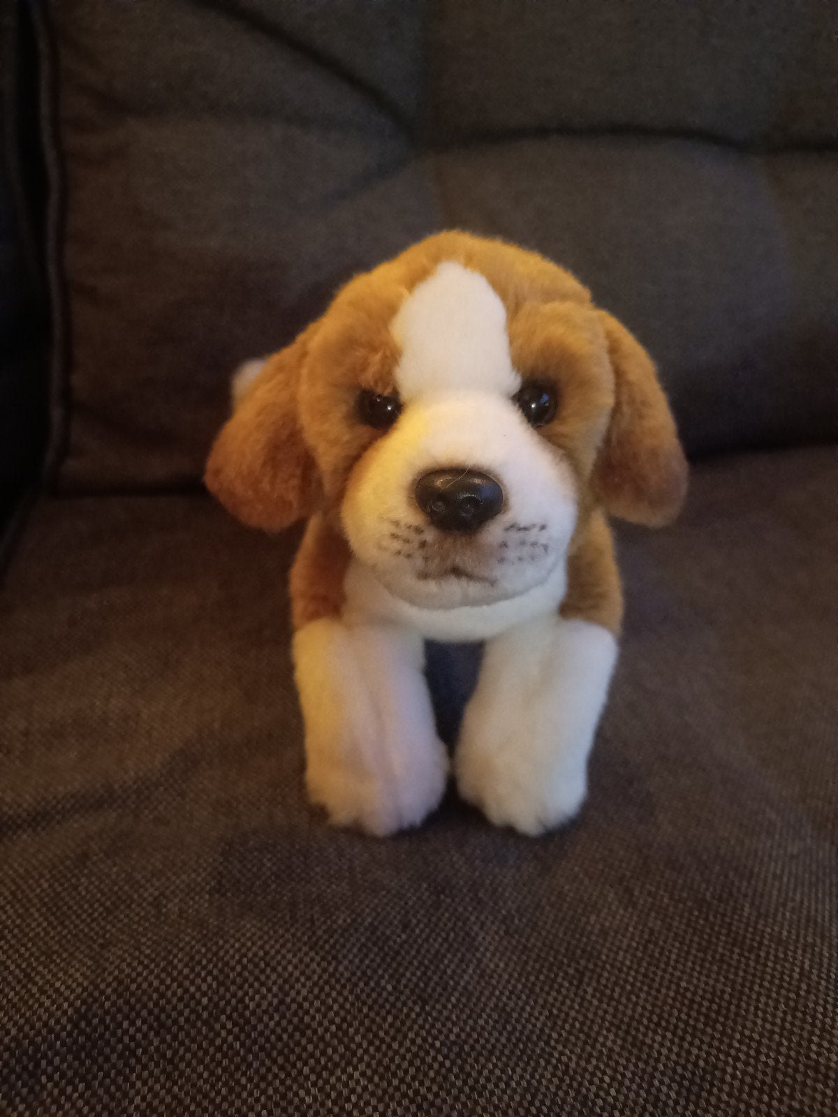 Suki Beagle knuffel - Zo goed als nieuw, Overige merken, Overige karakters, Klein (minder dan 20 cm), Bruin