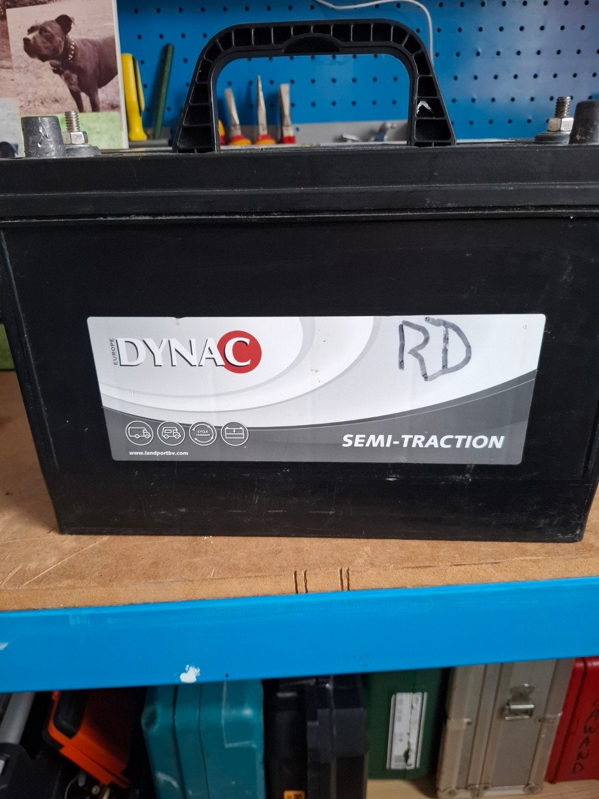 DYNAC 12V 100AH 31DC, Auto-onderdelen, Accu's en Toebehoren, Ophalen, Nieuw