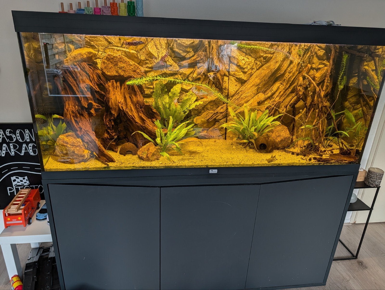 Aquatlantis Volga 450 aquarium compleet ingericht + vissen, Ophalen, Zo goed als nieuw, Gevuld zoetwateraquarium