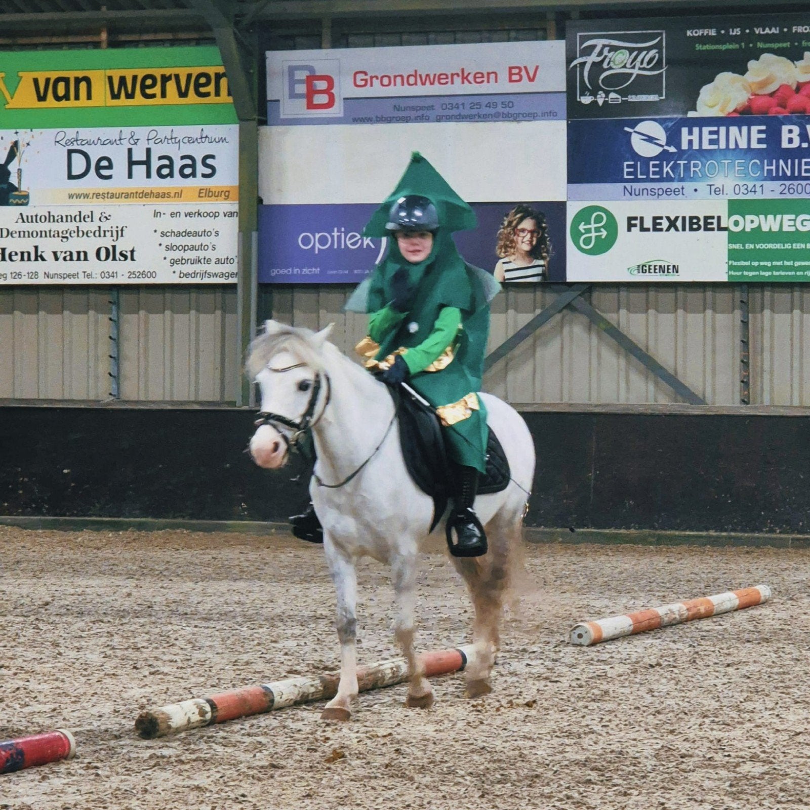 Top Blitz - B-pony met vriendelijk clowntjes karakter, Ruin, B, Gechipt, 7 tot 10 jaar