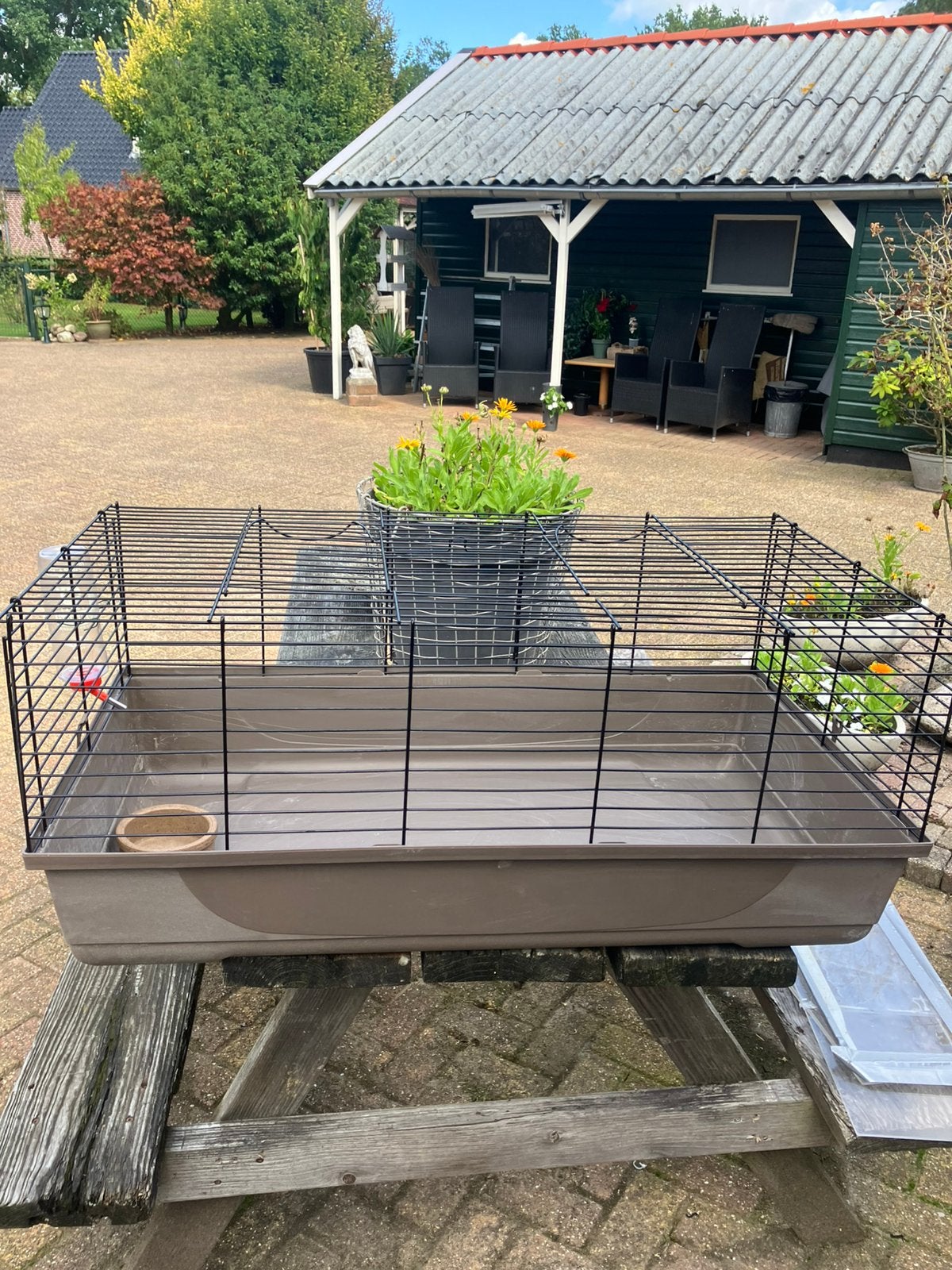 kooi voor knaagdieren met drinkfles en eetbakje,100cm lang ., Kooi, Gebruikt, Cavia, 75 tot 110 cm