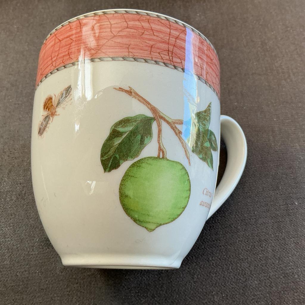 Grote soep thee beker Wedgwood Sarah’s Garden, Ophalen, Zo goed als nieuw, Wedgwood, Kop(pen) en/of Schotel(s)