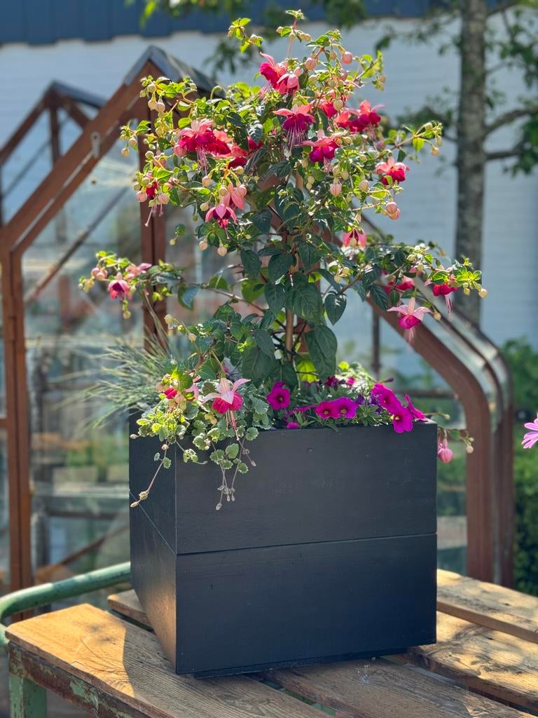 Nieuw, grote voorraad | Plantenbak | Bloembak | Bloempot, Tuin en Terras, Bloembakken en Plantenbakken, Ophalen, Gebruikt, Minder dan 60 cm