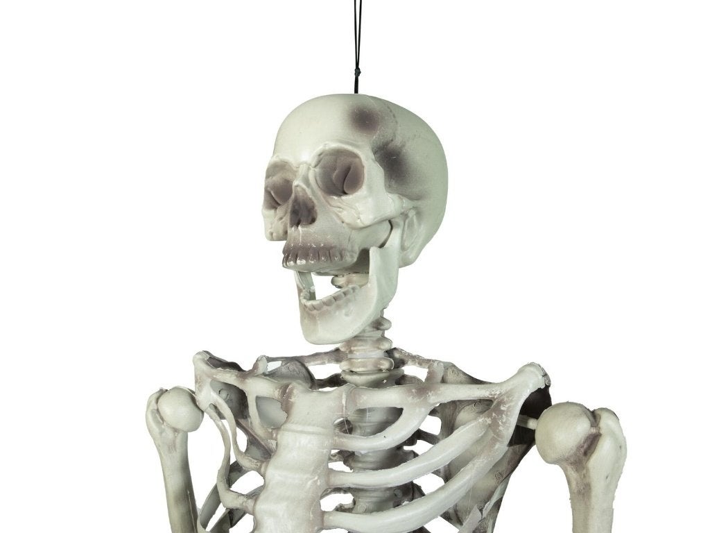 Europalms Halloween skelet 150 cm beweegbaar, Halloween of Griezel, ., Nieuw, Ophalen of Verzenden