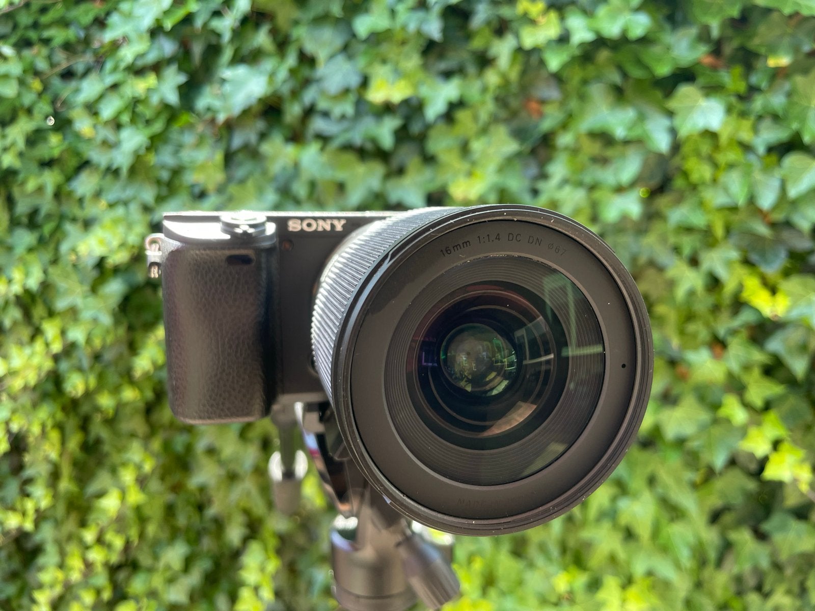 Sony A6400 + Sigma 16mm f/1.4 + Accu's + Oplader + Statief, Audio, Tv en Foto, Fotocamera's Digitaal, Ophalen, Kantelbaar/draaibaar scherm