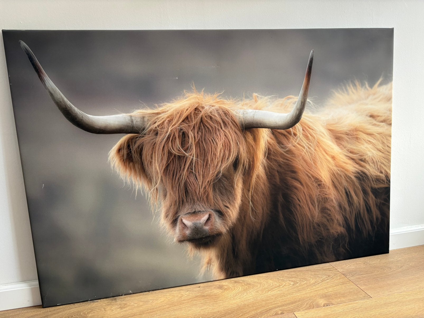 Canvas Schotse Hooglander, Huis en Inrichting, Woonaccessoires | Schilderijen, Tekeningen en Foto's, Ophalen, Zo goed als nieuw