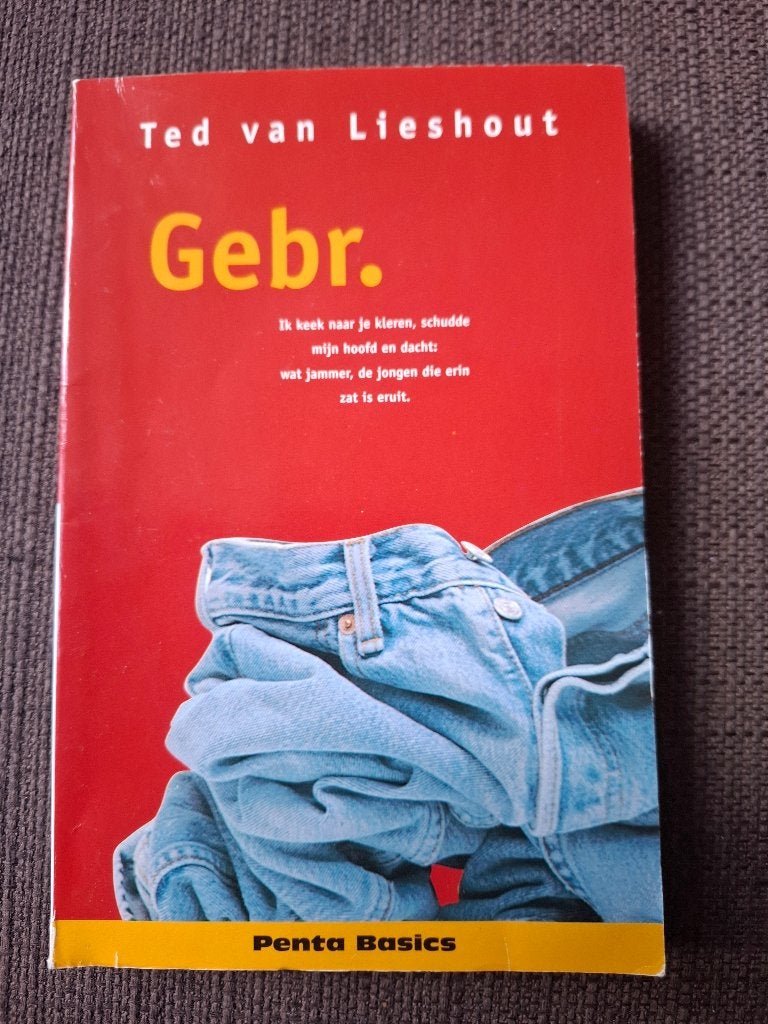 Gebr. - Ted van Lieshout (Penta Basics), Boeken, Gelezen, Ophalen of Verzenden, Nederland, Ted van Lieshout
