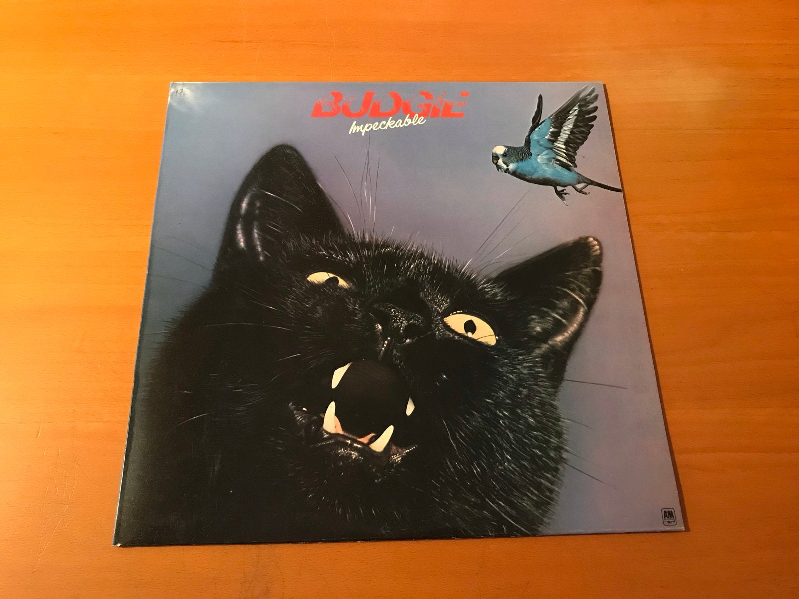 Budgie - Impeckable (LP), Ophalen of Verzenden, Gebruikt, 12 inch, LP