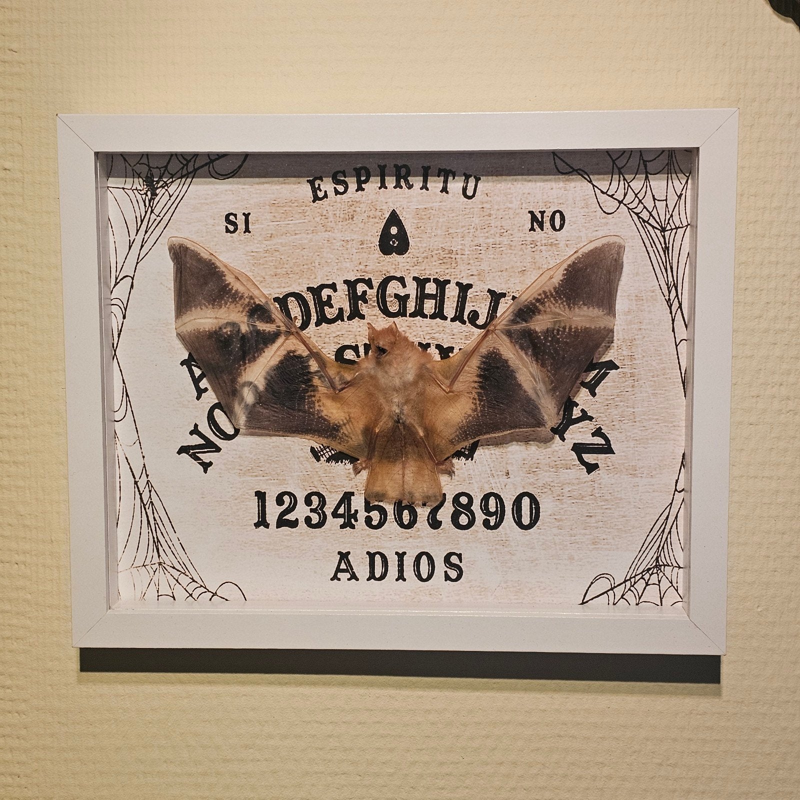 Vleermuis in boxlijst met Ouija bord achtergrond, Ophalen of Verzenden