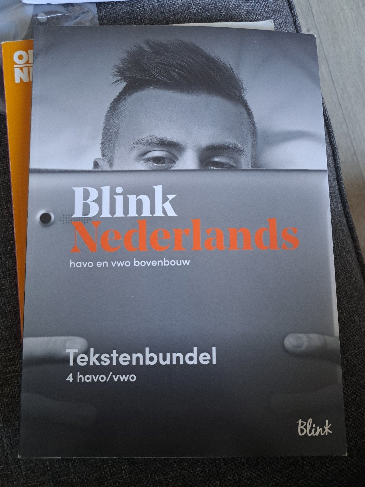 Blink Nederlands tekstenbundel, Ophalen of Verzenden, Zo goed als nieuw
