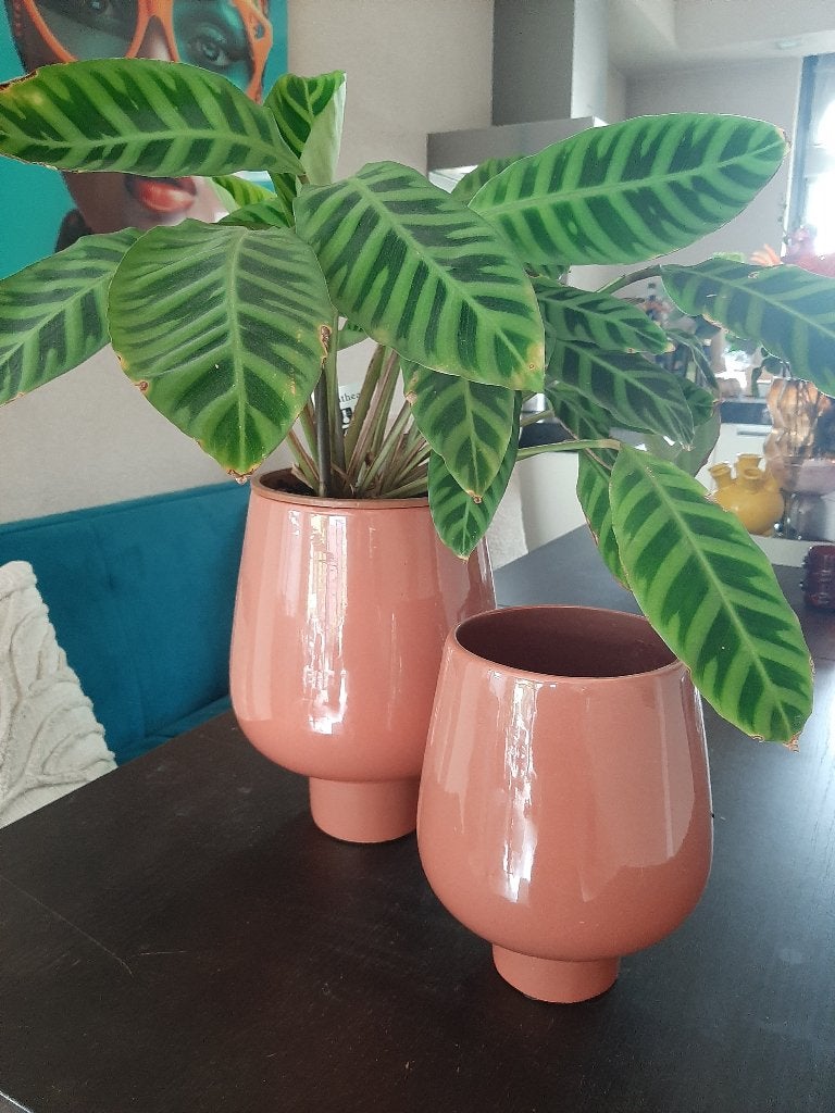 Bloempotten Terra zgan 2 stuks, Tuin en Terras, Bloempotten, Zo goed als nieuw, Aardewerk, Binnen, Balkon, Minder dan 40 cm, Minder dan 25 cm
