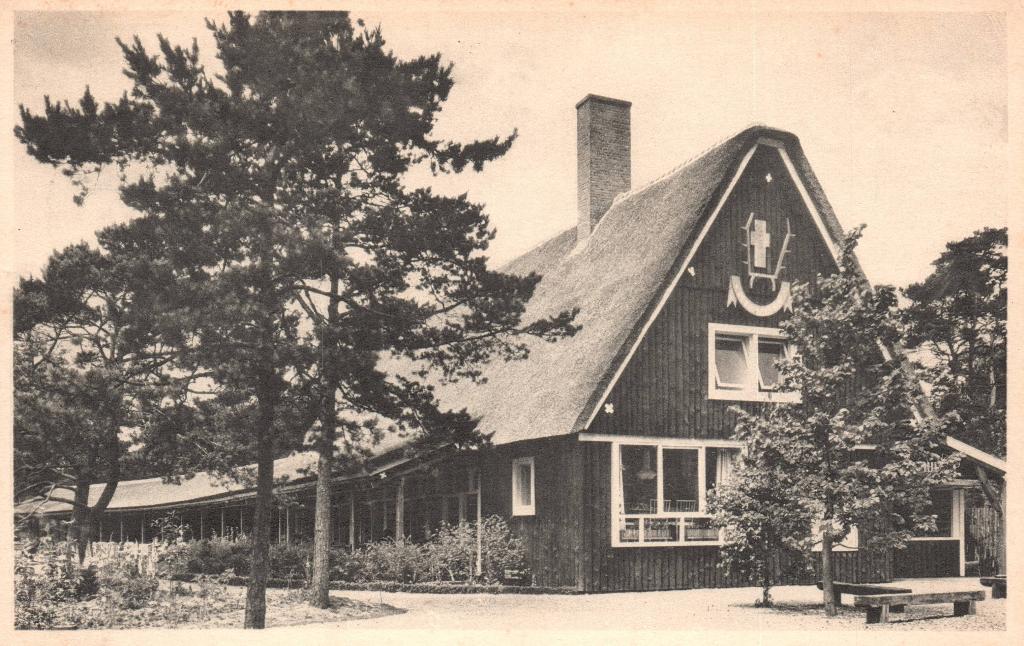 Nationaal Park de Hooge Veluwe (1950) 131290, Ophalen of Verzenden, 1940 tot 1960, Gelopen, Gelderland