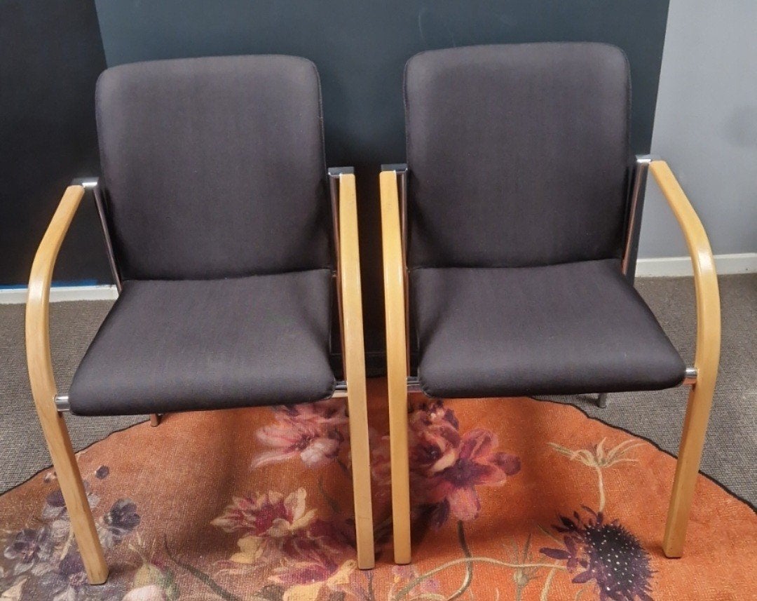 leolux Camerone fauteuils, Ophalen, Gebruikt, Twee, Zwart
