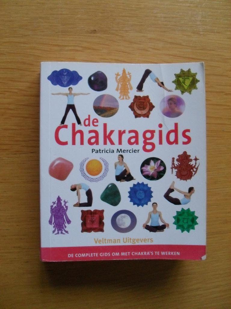 De Chakragids van Patricia Mercier, Ophalen of Verzenden, Gelezen
