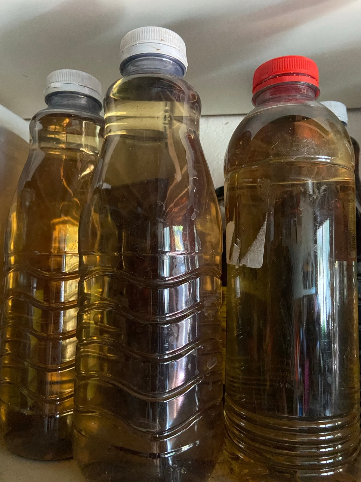 Wormenthee - Natuurlijke Vloeibare Plantenvoeding, Ophalen of Verzenden, Nieuw
