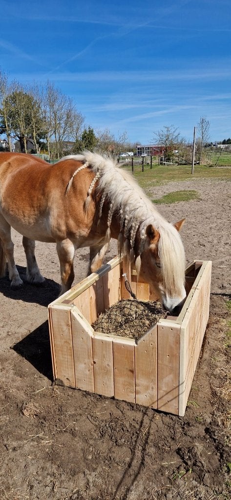 Paard Schuilstal, hooiruif & slowfeeder | Hek en afrastering, Opfok, 4 paarden of pony's of meer