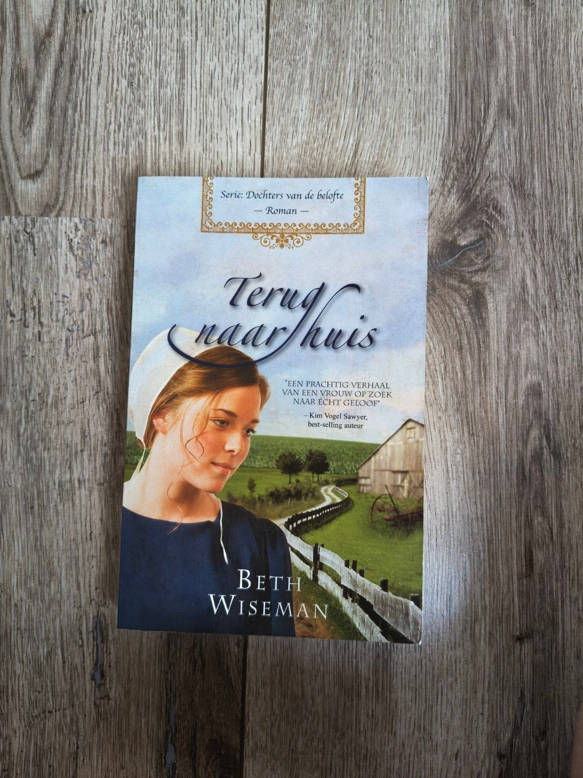Terug naar huis - Beth Wiseman (Roman), Boeken, Ophalen of Verzenden, Gelezen, Beth Wiseman