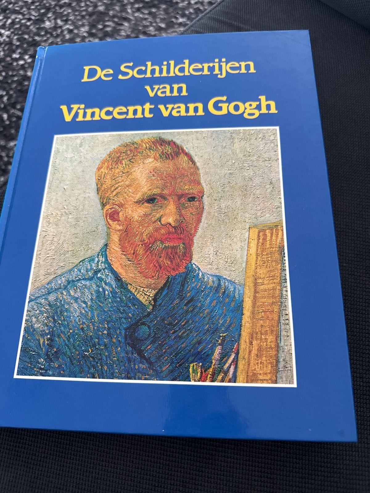 De Schilderijen van Vincent van Gogh - Kunstboek, Boeken, Ophalen of Verzenden, Gelezen, Schilder- en Tekenkunst