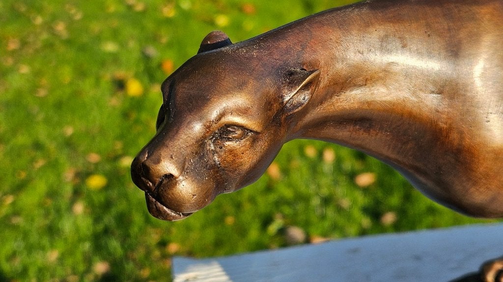 JACHTLUIPAARD / BRONZEN BEELD / cheetah / JAGUAR, Ophalen of Verzenden, Nieuw, Opgezet dier