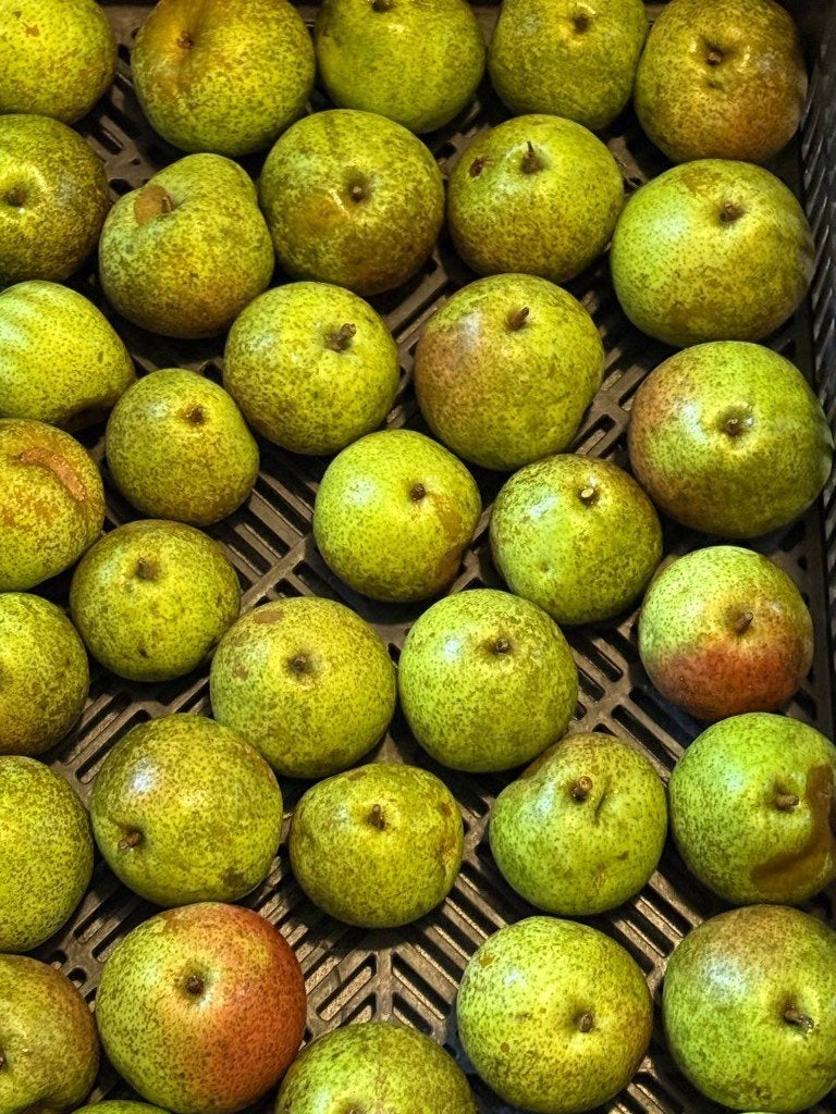 Stoofperen Zoete Brederode of Saint Remy, Ophalen