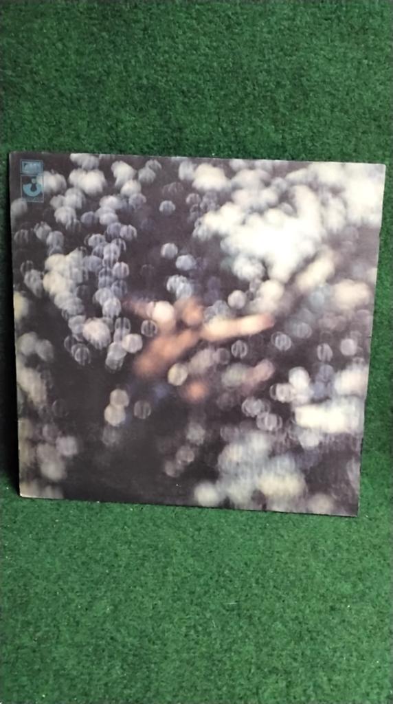 PINK FLOYD, Ophalen of Verzenden, Gebruikt, 12 inch, Progressive