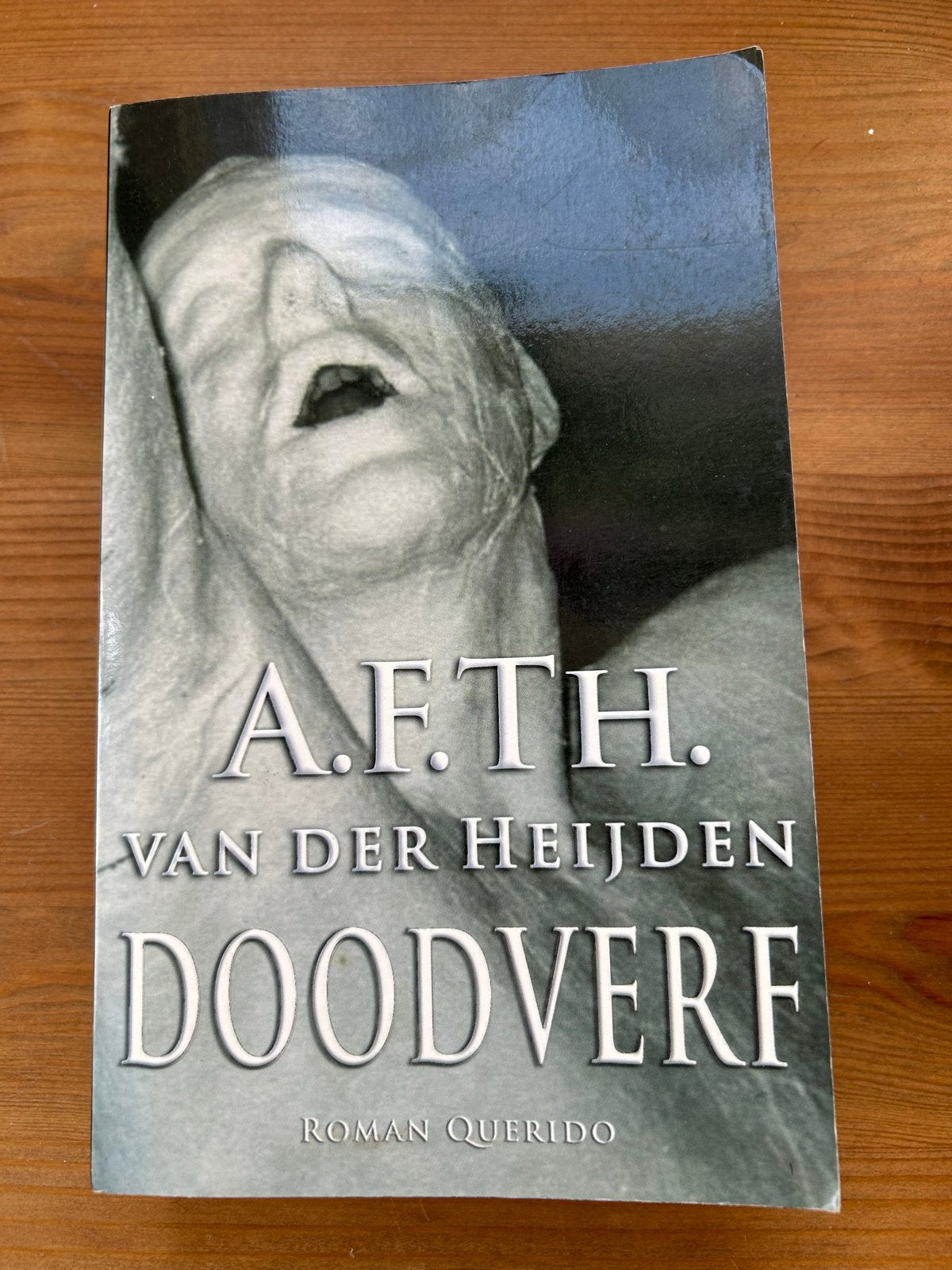 A.F.Th. van der Heijden - Doodverf (Roman Querido), Ophalen of Verzenden, Gelezen, Nederland