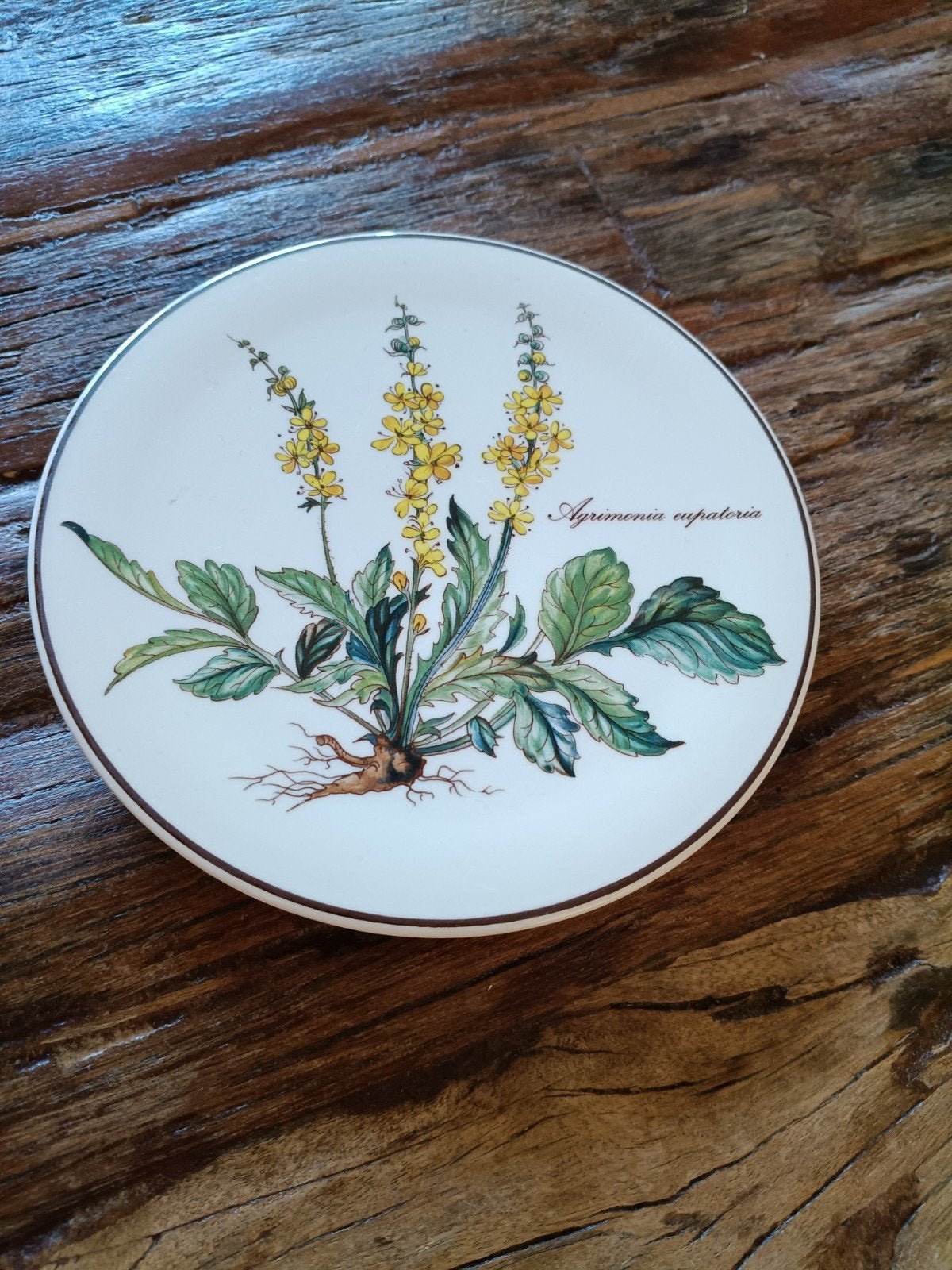 Noordwijk - Royal Boch Onderzetter "Botanica", Ophalen of Verzenden