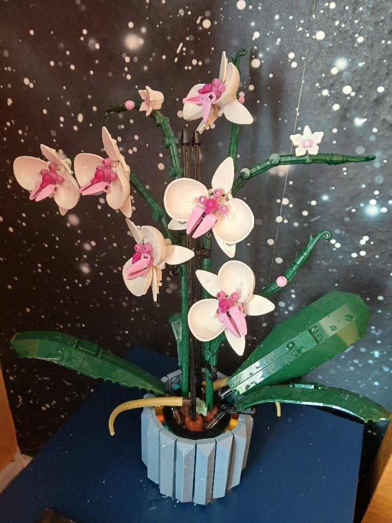 LEGO Orchidee - Botanical collection (10311), Kinderen en Baby's, Speelgoed | Duplo en Lego, Ophalen, Lego, Compleet, Zo goed als nieuw