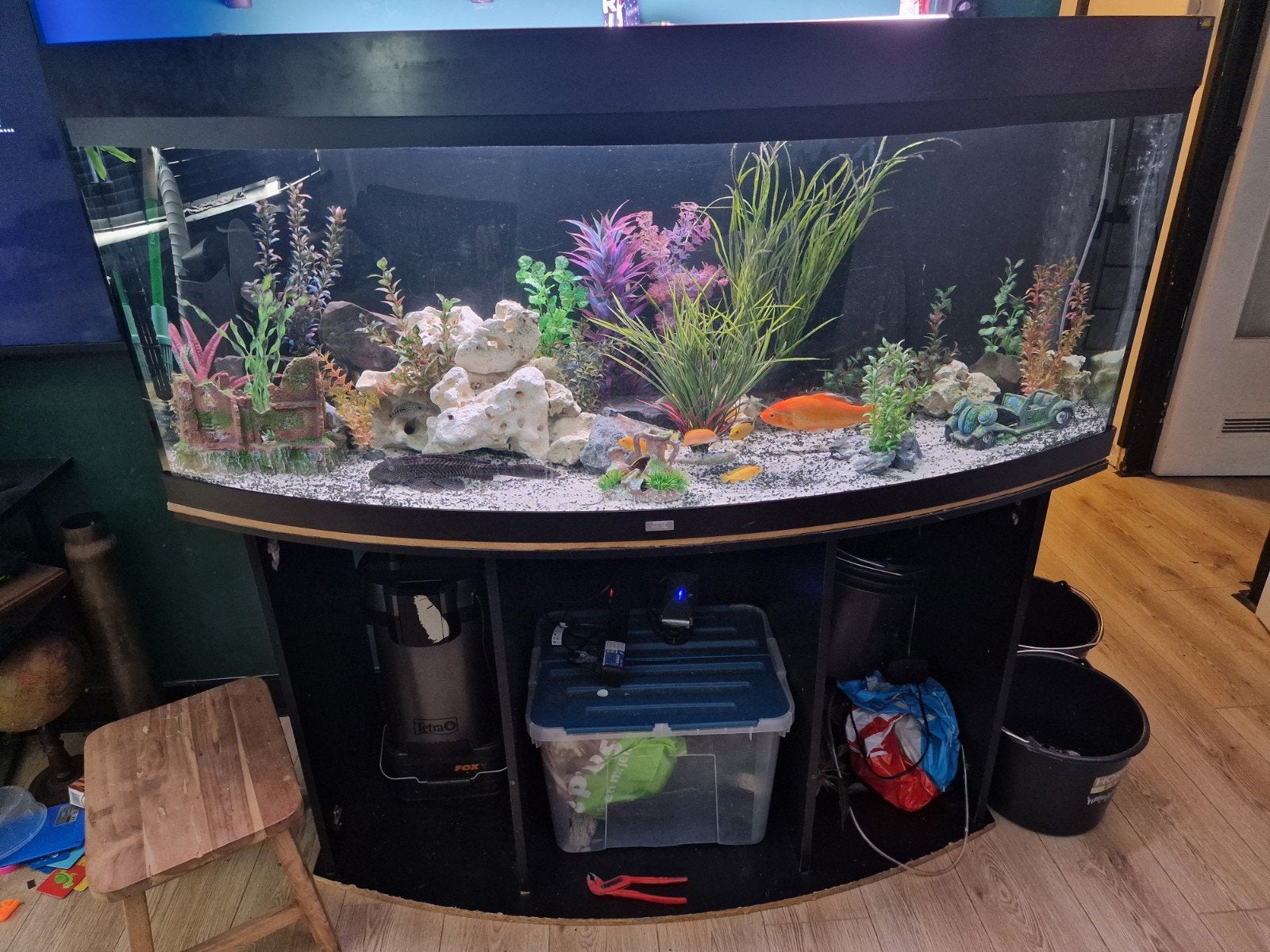 panorama Juwel aquarium compleet., Ophalen, Gebruikt, Pomp, Leeg aquarium