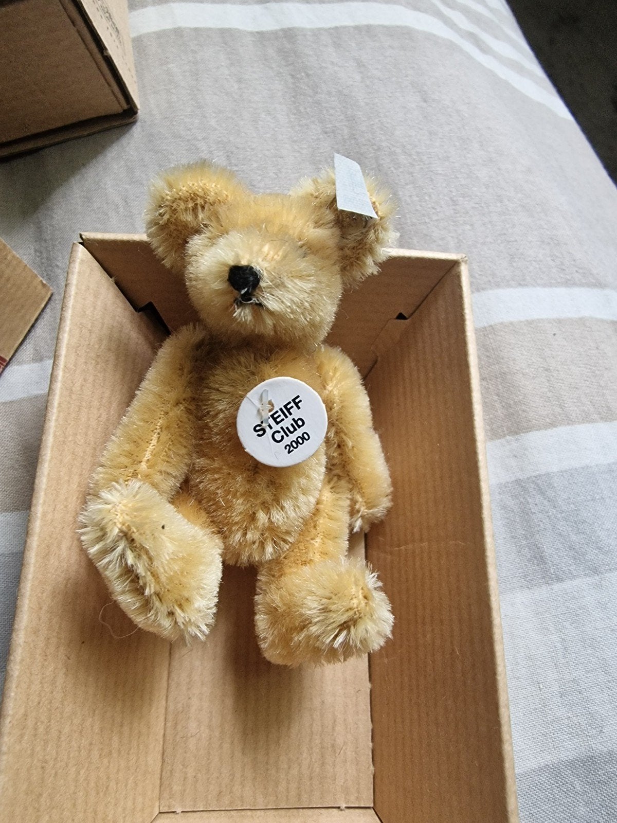 Steiff Club Geschenk Replica 1922 Teddybeer Blond 7, Ophalen of Verzenden
