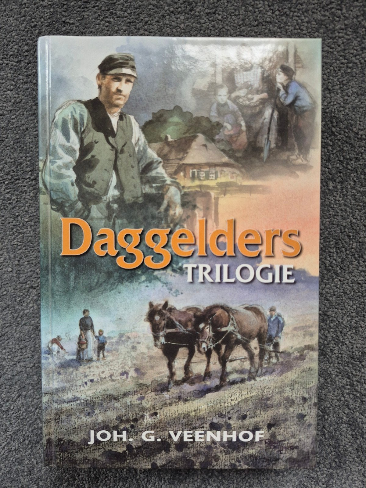 Daggelders Trilogie - Joh. G. Veenhof, Boeken, Ophalen of Verzenden, Gelezen, Joh. G. Veenhof, Nederland